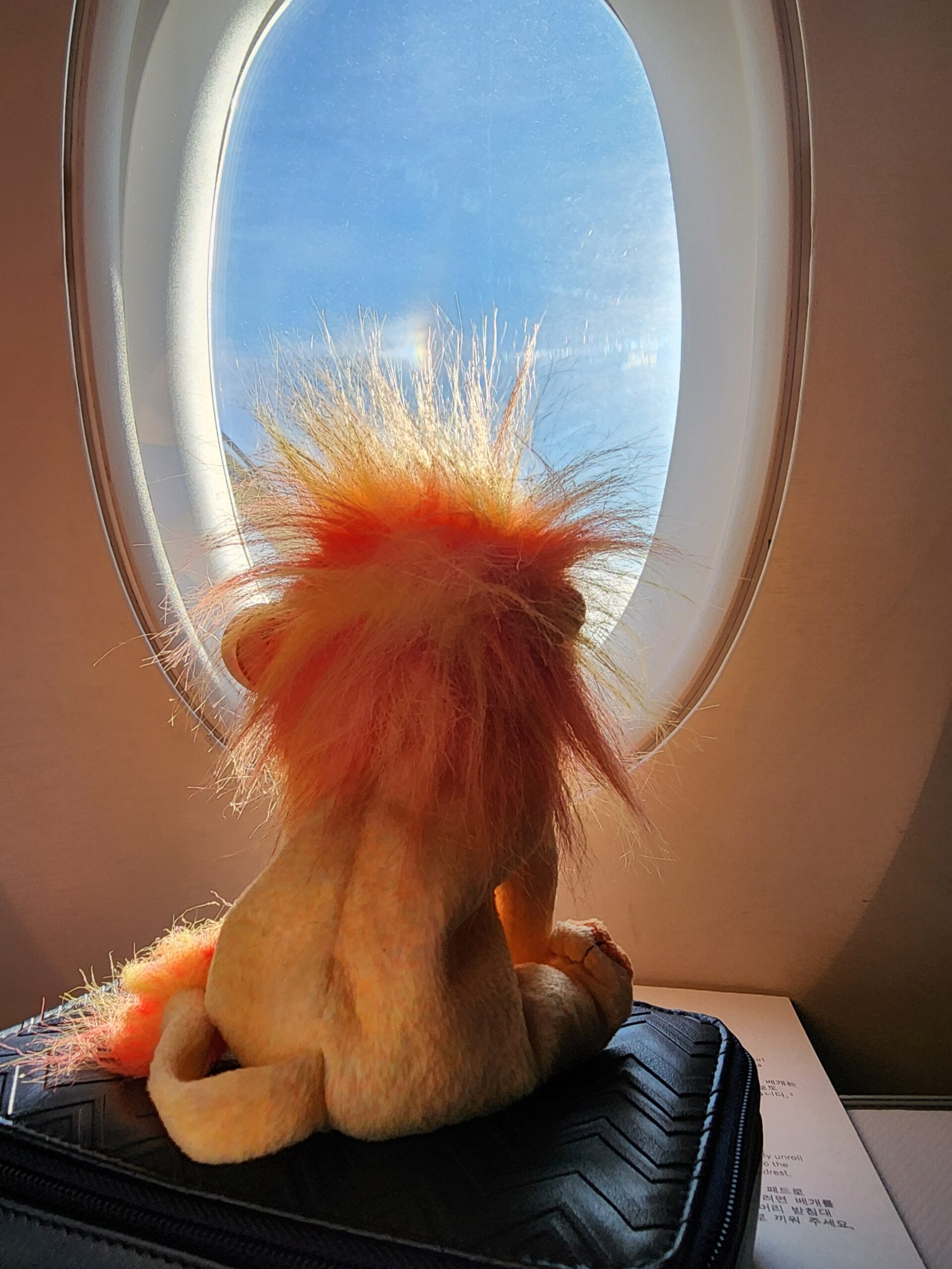 leo looking out airplane window